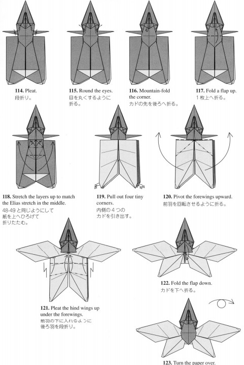折纸昆虫的基本折纸图解教程帮助你真正的学习经典的折纸昆虫制作