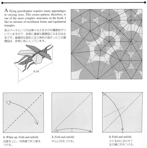 手工折纸飞蝗的图解教程帮助你更好的掌握折纸飞蝗的折法