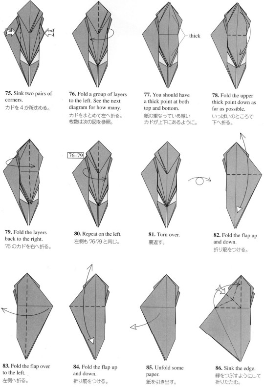 常见的折纸蝗虫折纸图解教程提供给大家一个更好的折纸学习思路