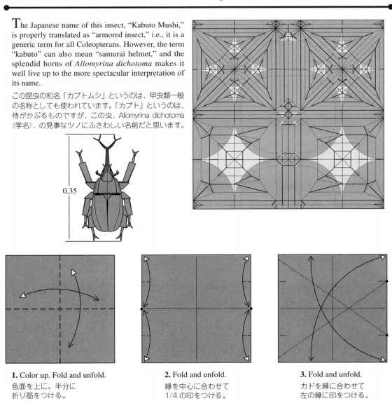 手工折纸昆虫的基本折纸图解教程帮助你更好的理解手工折纸昆虫制作的要点