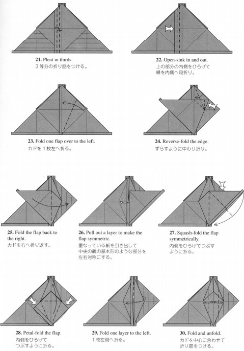 折纸图解的教程告诉你如何通过手工折纸的方式一步一步的完成折纸昆虫的制作
