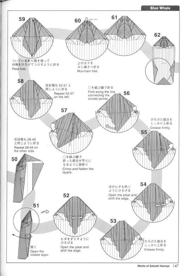 学习折纸蓝鲸的折叠教程帮助你更好的掌握折纸动物的理解