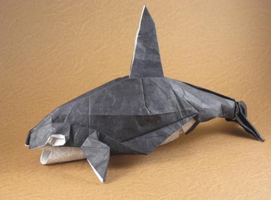 神谷哲史折纸海洋动物之虎鲸折纸图解教程
