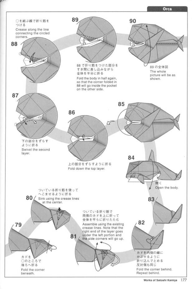 手工折纸蓝鲸的图解教程帮助你更好的掌握折叠的一些细节