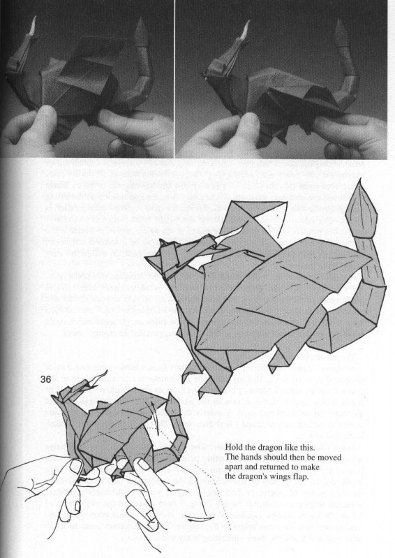 折纸龙的教程手把手展示折纸西方龙的制作方法