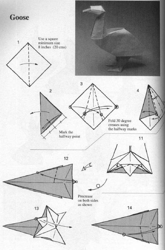 手工折纸鹅的基本折法教程展现出来的是如何制作出漂亮的折纸鹅