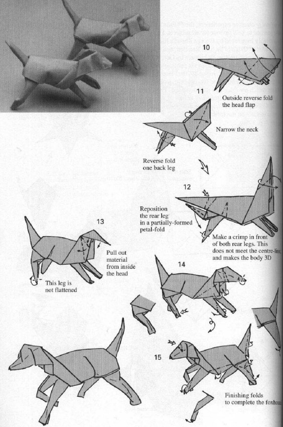 手工折纸猎狐犬的基本折法教程给大家提供更多有趣的折纸制作教程