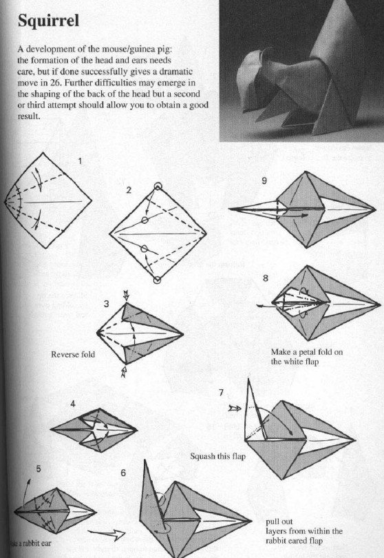 仿真折纸松鼠的图解教程展现出来的是折纸松鼠的独特折法