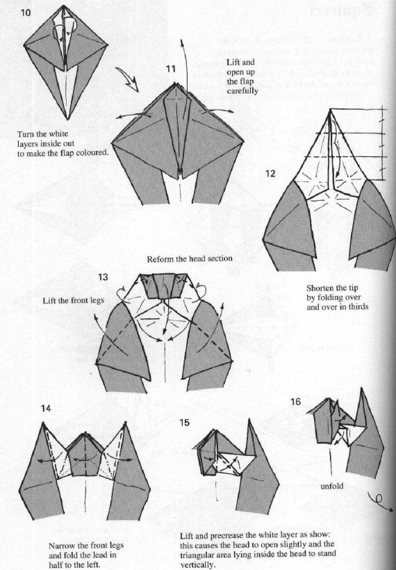 学习折纸松鼠的折纸操作能够让我们制作出漂亮的折纸松鼠来