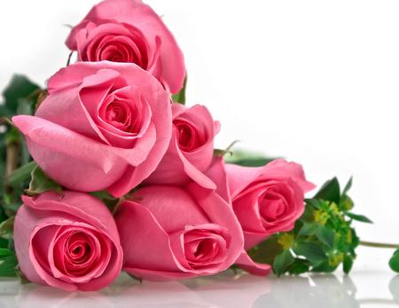 玫瑰花语大全之粉色玫瑰所拥抱的希望