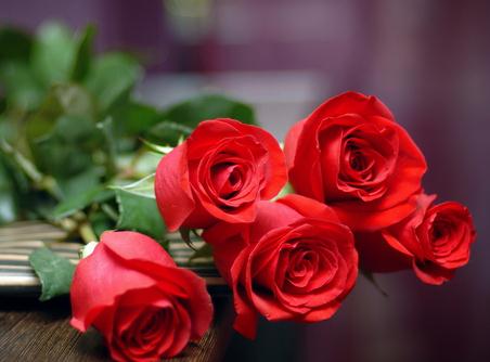 玫瑰花语大全之五朵玫瑰花代表由衷的欣赏你【附简单的纸玫瑰花折法】