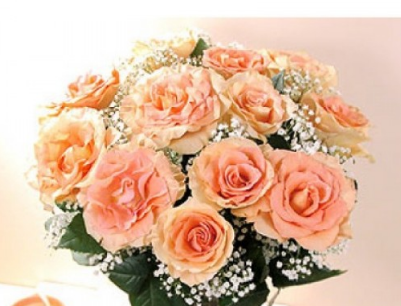 玫瑰花语之12朵玫瑰代表对你的爱与日俱增【附最新的漂亮玫瑰花的折法】