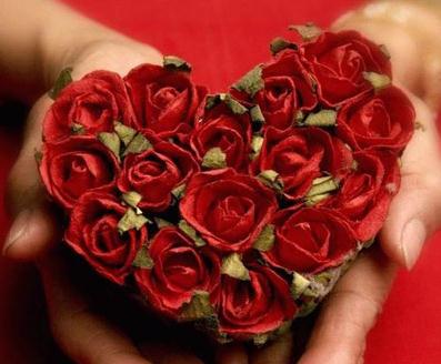 玫瑰花语大全之15朵玫瑰代表对你感到歉意【附道歉玫瑰花的折法】