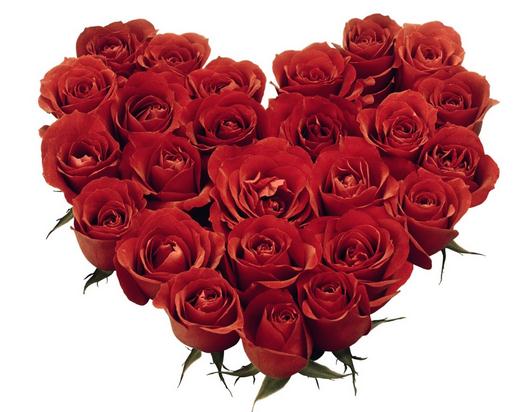 玫瑰花语大全之20朵玫瑰代表我的赤诚之心【附创意折纸玫瑰花的折法】