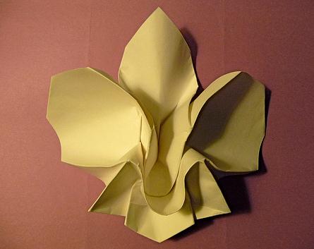 折纸花教程之折纸兰花图纸教程