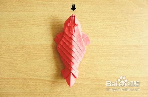 手工折纸鲤鱼的基本折法教程帮助我们能够制作出仿真感超强的折纸鲤鱼