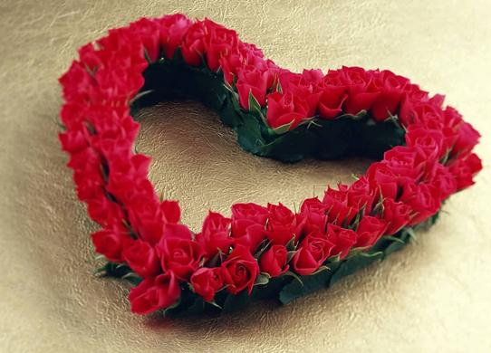 玫瑰花语大全之36朵玫瑰代表我心属于你【附经典玫瑰花的折法】