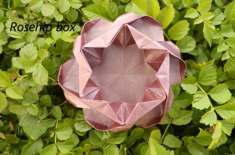 折纸玫瑰盒子的折法视频教程一步一步的教你如何制作盒子折纸玫瑰花