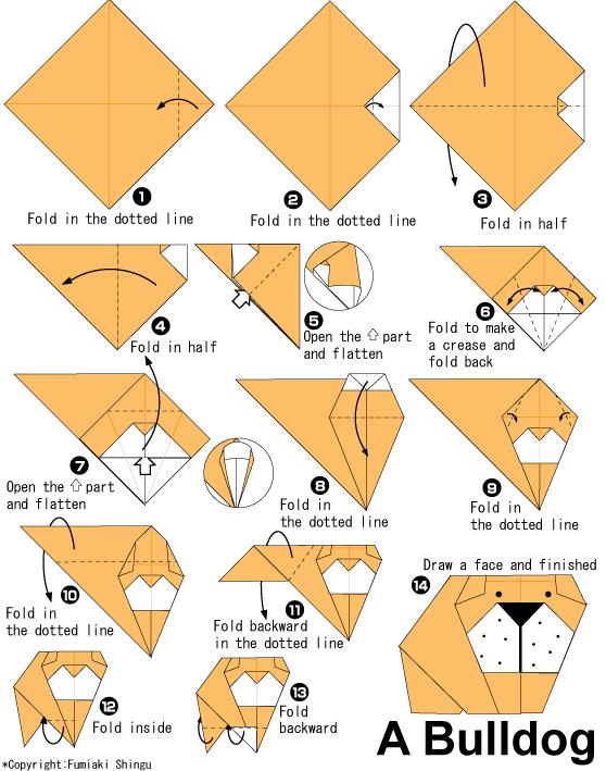 手工折纸狗狗的基本折法教程展示出折纸斗牛犬是如何制作的