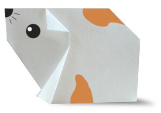 儿童手工折纸小豚鼠的折纸图解教程