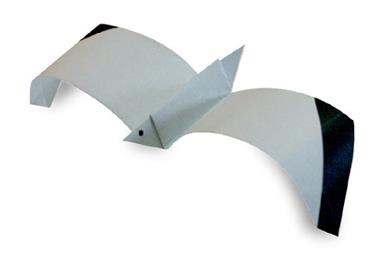 儿童简单折纸海鸥的折纸图解教程—儿童折纸大全