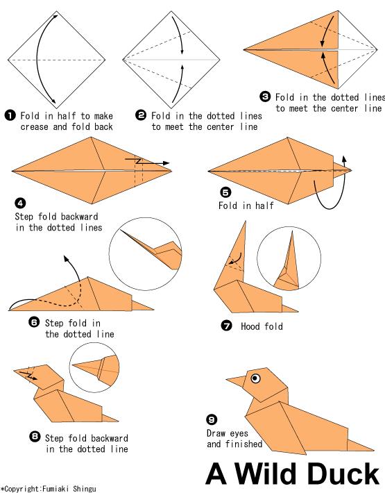 简单的儿童折纸野鸭子的基本折法教程告诉你如何完成有趣的折纸野鸭子制作