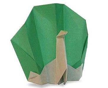 儿童折纸大全教你手工立体折纸孔雀的折法