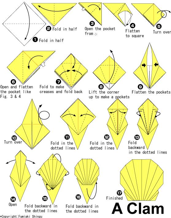 经典有趣的折纸合蚌制作教程告诉你折纸海洋动物如何制作