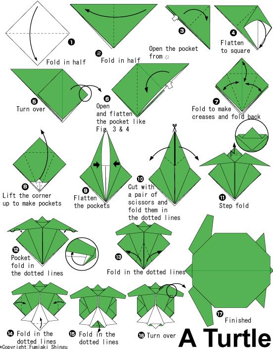 简单的手工儿童折纸海龟教程展现出折纸海龟的制作方法