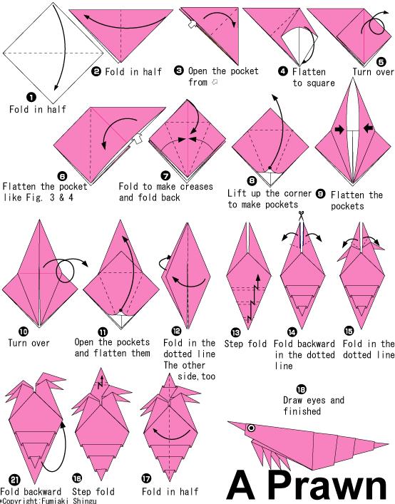 手工折纸对虾的基本折法展示出折纸对虾是如何进行折叠制作的