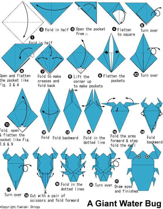 手工折纸田鳖的基本折法教程告诉你田鳖是如何折叠制作的