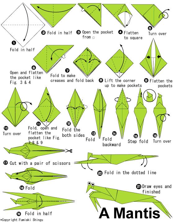 手工折纸螳螂的基本折法教程展示出儿童折纸螳螂应该如何制作