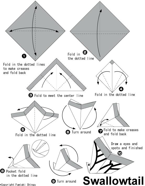 手工折纸凤蝶的基本折法展示出折纸凤蝶是如何进行制作的