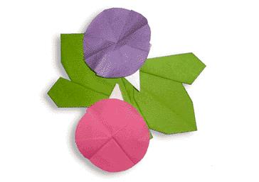 儿童折纸大全教你简单的折纸花牵牛花的折纸制作