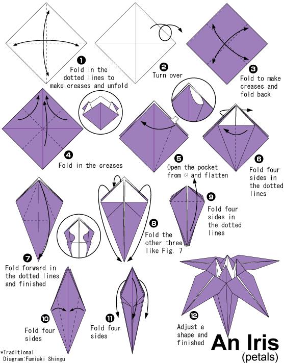 儿童折纸花鸢尾的手工折纸图解教程 纸艺网