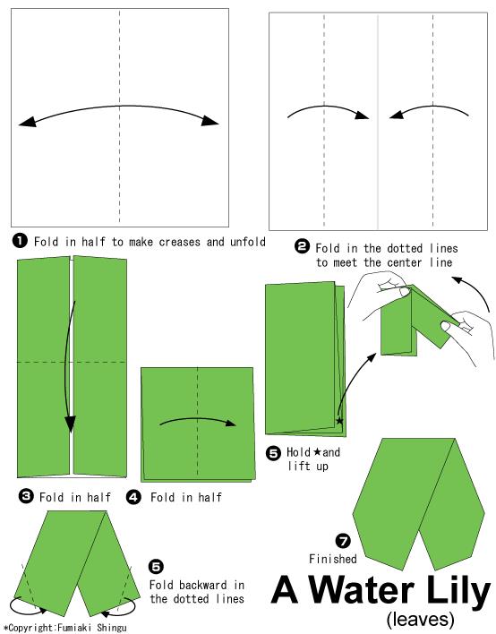 折纸睡莲的折纸叶片结构折法教程