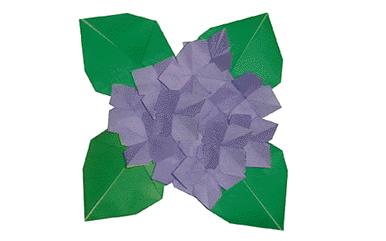 儿童折纸大全之八仙花折纸图解教程
