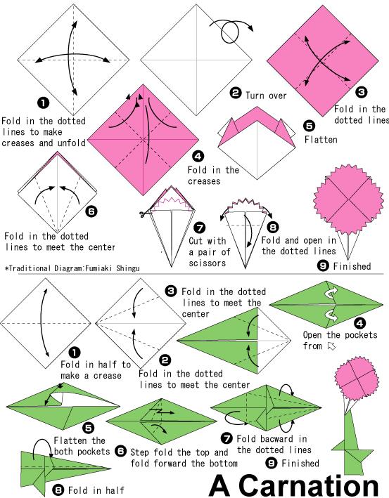 基本的折纸康乃馨折法图解教程展示出折纸康乃馨的制作方法