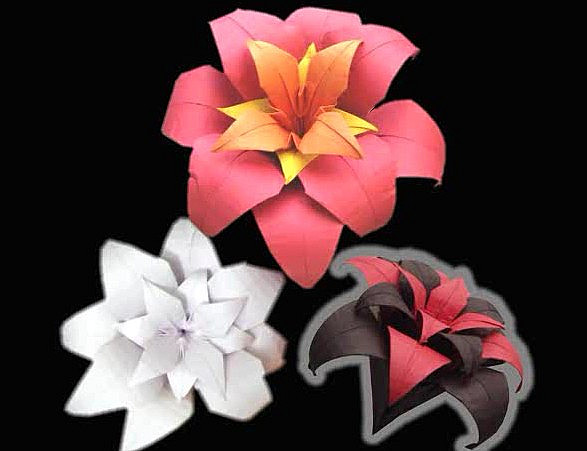 纸百合的折法之经典折纸花教程教你制作百合的折纸花
