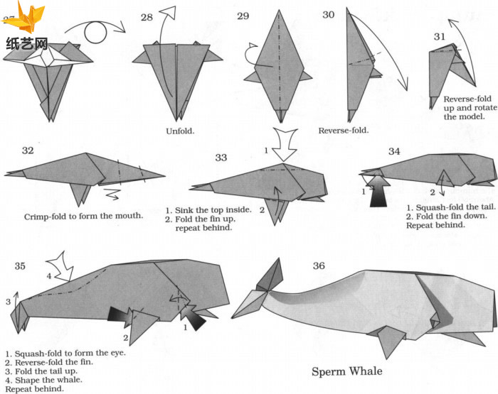 手工折纸抹香鲸的基本折叠教程帮助你快速折叠抹香鲸