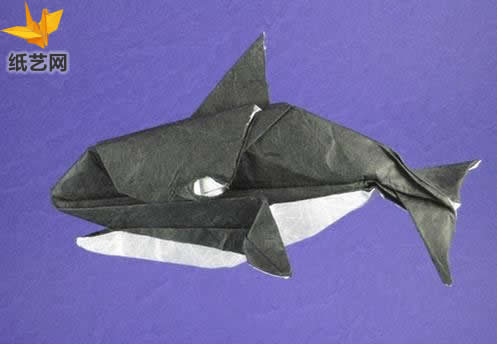 【海洋动物折纸大全】折纸虎鲸手工折纸图谱教程