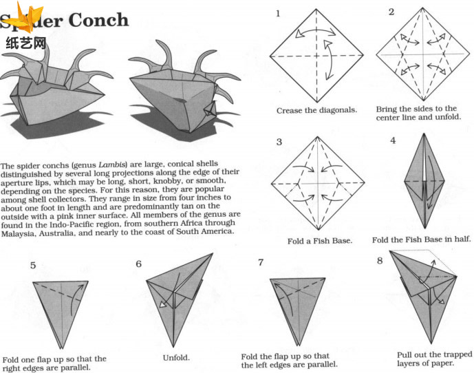 简单的折纸蝎螺折法教程告诉你折纸蝎螺如何制作