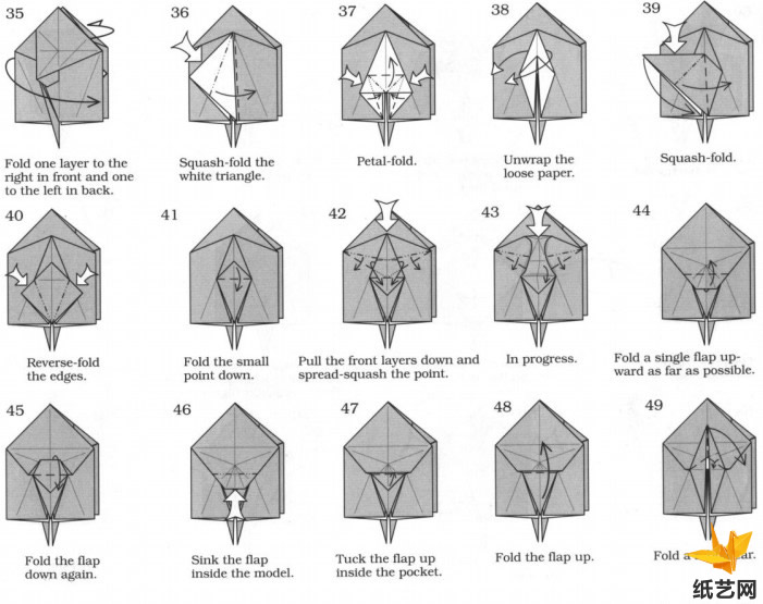 海洋动物折纸大全教程教你一步一步的完成折纸乌贼的折叠