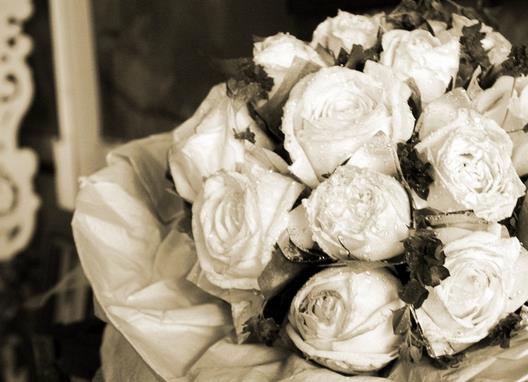 有月亮的夜深人静的夜晚说说21朵白玫瑰花语里的纯洁爱情吧