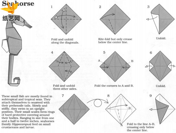 折纸海马的折法教程手把手教你制作出漂亮的折纸海马