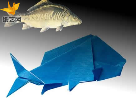 【鱼类折纸大全】鲤鱼手工折纸图解教程