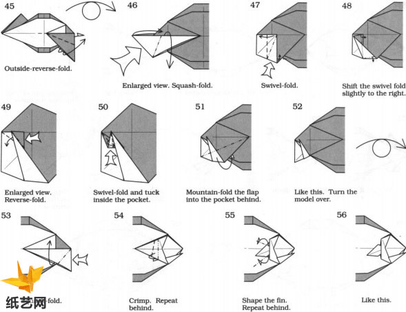 基本的折法教程展示出折纸比目鱼的制作方法和制作技巧