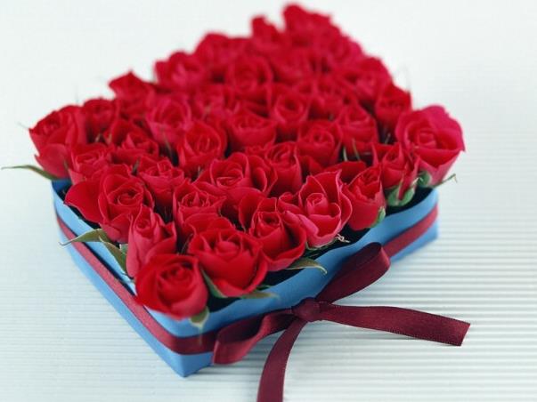 如果人生是一场接着一场的50朵玫瑰花语里的邂逅