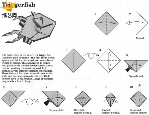 海洋鱼类折纸大全图解教程展示出折纸鱼如何制作