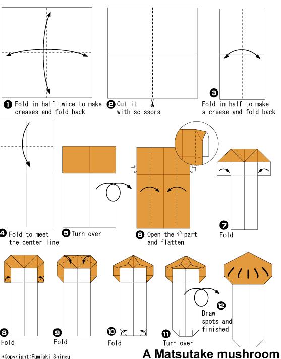 手工折纸松菇的折纸图解教程【儿童折纸大全】